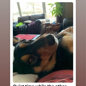 Meet your Posher, Jackie